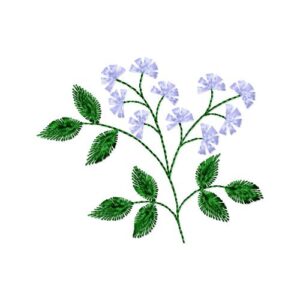 Chicory flower-embroidery design